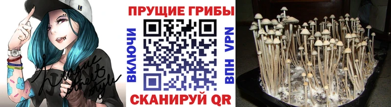 что такое наркотик  Усолье-Сибирское  MEGA зеркало  Псилоцибиновые грибы Magic Shrooms 